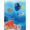 Fototapeta Gdzie Jest Dory 4-446 Nemo